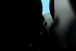 Horny golden-haired college whore gives me fellatio truly well