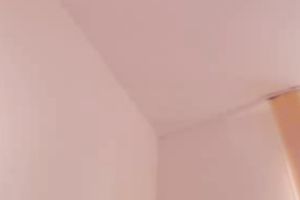 Hypnotizing legal age teenager punjabi beauty flashes stripped on cam