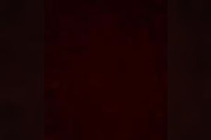 Nice non-professional fuck with my Turkish girlfriend closeup