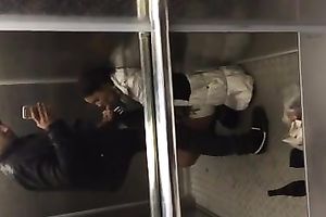 Amateur casual dark brown babe sucked my friend's rod off