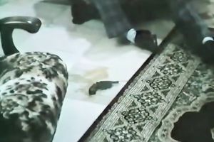 Extremely curly stud feeding dark brown floozy with his penis