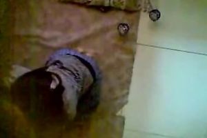 Cute and shy Indian white women sucks shlong of her boyfriend