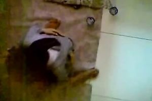 Cute and shy Indian white women sucks shlong of her boyfriend