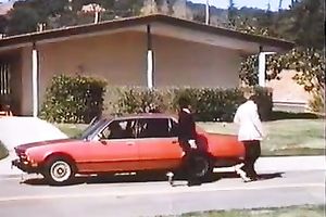 Beautiful light haired white lady has oral job petting outdoors