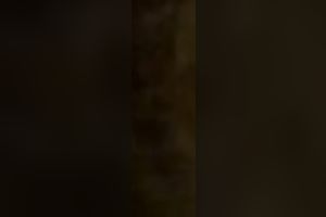 Hot chunky dark brown arab dirty slut wife sucks my ramrod before mish quickie