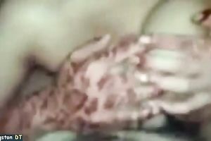 All natural breasty non-professional brunette hair keeps on engulfing tasty prick