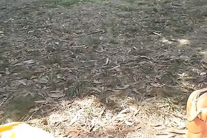 I am such a immodest bitch and I don't mind masturbating in public places