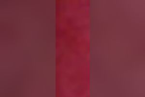 My Asian lustful girlfriend accedes to fuck on homemade movie