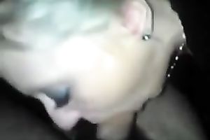 My spoiled girlfriend enjoys engulfing my dong in my car