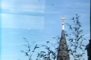 Sweet brunette sweetheart blowing rod and riding it on top