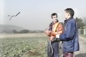 Two horny white doxies on the daybed feeding on knobs