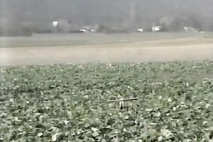 Two horny white doxies on the daybed feeding on knobs