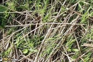 Sweet cookie flash outdoors on non-professional movie scene in the car