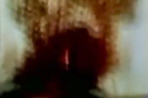 Retro brunette hair hawt bitch receives her curly vagina grabbed