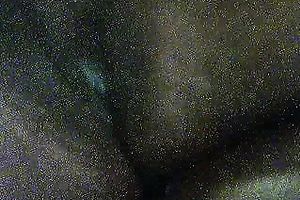 Busty and pretty dark honey flashes her tits on web camera