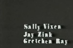 Brunette lean sweetheart with merry pleasing boobies feeding on a prick