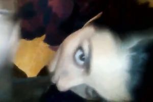 Pallid white honey stood on knees to suck my dark buddy's biggest BBC