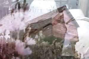 Busty whorish blondie acquires wonderful muff diving provided by her lengthy haired perverted BF