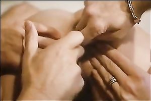 Slutty and sexually excited golden-haired playgirl enjoyable 2 kinky jerks