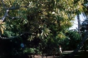 Boobalicious chick got her twat banged actually hard by her ally