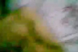 All soaked serious looking Indian white wife tenderly sucked black wang