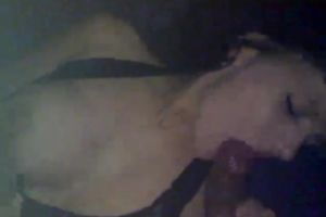 Appetizing whore with large meatballs sucks my penis like crazy