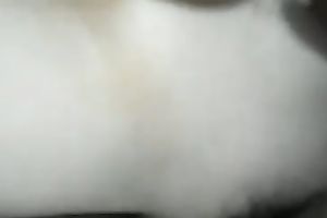 My hawt Asian GF receives her cookie and arse gap pushed with my penis