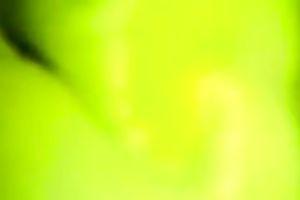 My hawt Asian GF receives her cookie and arse gap pushed with my penis