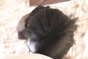 Stunning lean dark college white women earning money this summer