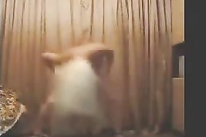 Sporty and hawt blond Russian skank stripteases on web camera