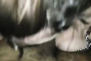 Dirty-minded plump white floozy worked on my beefy fat dark wang