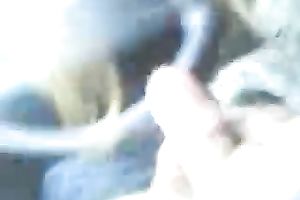 Natural non-professional Arab hooker provides my buddy with a BJ in his car