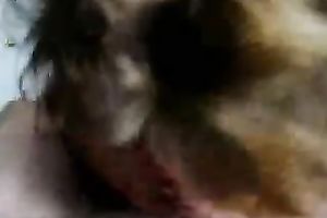 A worthy miniature present in the morning previous to Christmas