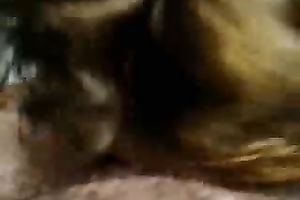 A worthy miniature present in the morning previous to Christmas