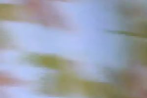 Cute dilettante Malay girlfriend can't live without engulfing shlong on livecam