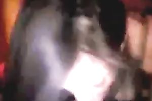 Lecherous babe blows my dong like cum-thirsty