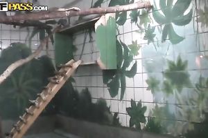 Russian dark brown cutie has a romantic date with her paramour