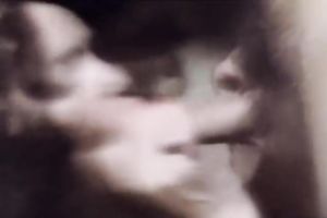 Ebony beauty and her hawt white blond bestfriend in softcore act