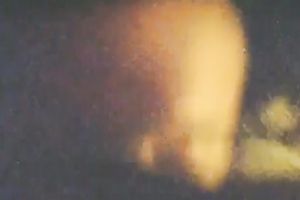 MILFie dark head was busy with engulfing my buddy's ramrod nonstop