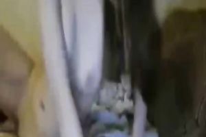 Long haired natural svelte brunette BBC slut was using a toy for her solo