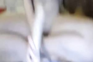 Long haired natural svelte brunette BBC slut was using a toy for her solo