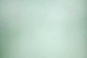 My buddy's Asian chick's bushy cunt needs a proper polishing