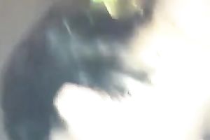 Busty white big beautiful woman sweetheart is mad about large dark jock