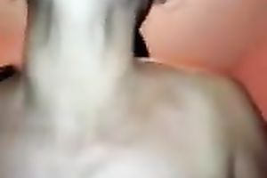 She feels great riding on top of my brown cock on POV clip