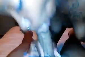 Lusty black skinned blowlerina closed her eyes during the time that giving a ideal blowjob