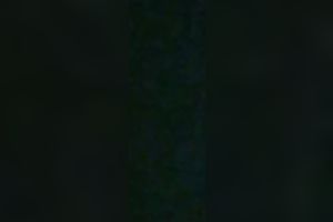 This slutty hooker desires me to finger fuck her snatch