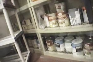 Danielle the perky-boobed milf enjoys oral sex with a concupiscent chap