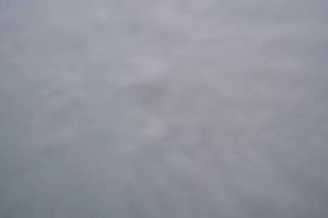 Hot tub, foam, a moist fur pie and a great BJ