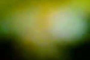 Females student masturbates in the crapper with camera on