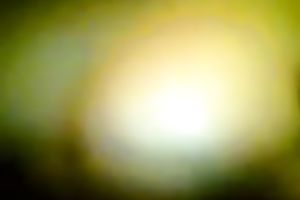 Females student masturbates in the crapper with camera on